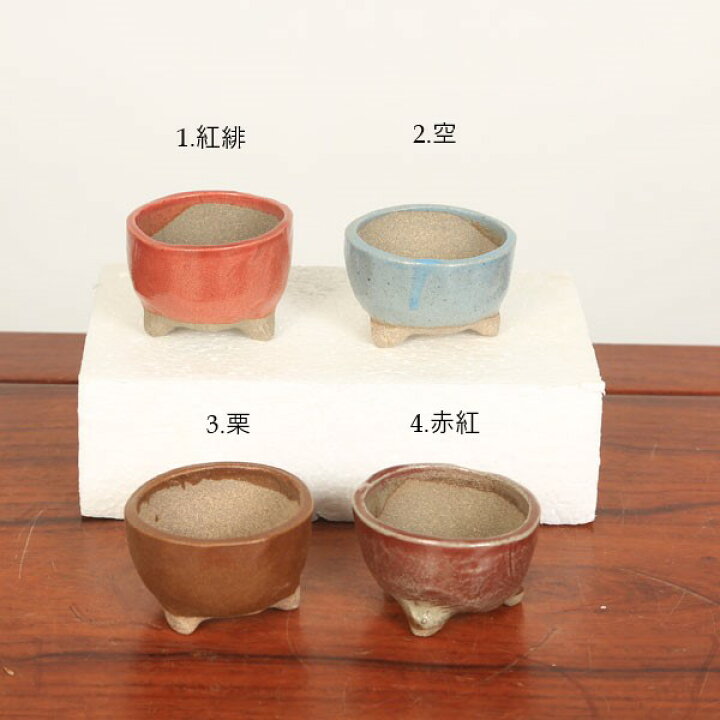 楽天市場】盆栽鉢：祥石（ゆうき）丸鉢・小小*資材 : 遊恵盆栽 楽天市場店