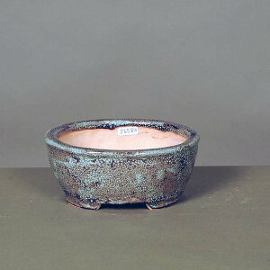 ㏬Fldq(イׂ)ȉ~@14.5cmyz*