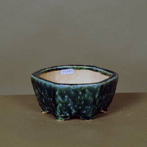 ㏬Fldq(イׂ)Zp@13.4cmyz*