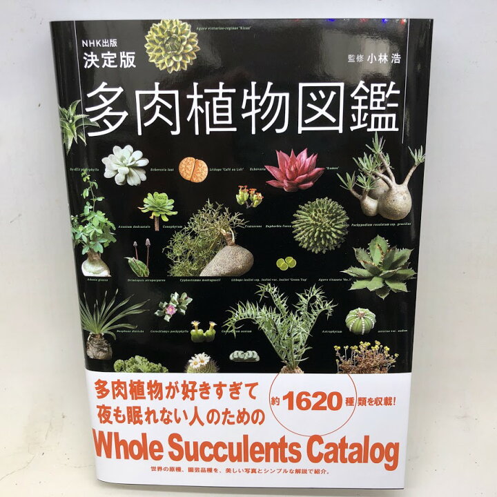 楽天市場 本 決定版 多肉植物図鑑 遊恵盆栽 楽天市場店