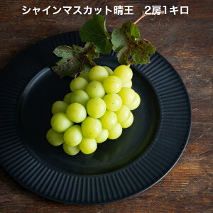 RY VC}XJbg  Di2[1L Ԃǂ j Mtg  v[g 蕨 yY VC}XJbg