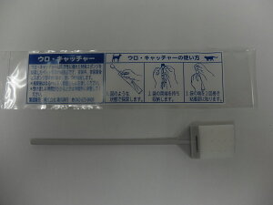 ̔A EELb`[ 10{ ̔A X|W qI ȒP A f