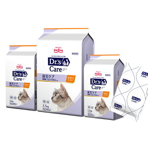 hN^[YPA LpA΃PA`LeCXg