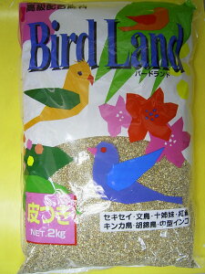 ʔtqt[h 2kg ZLZC  \o g LJ Ӌђ ^CR