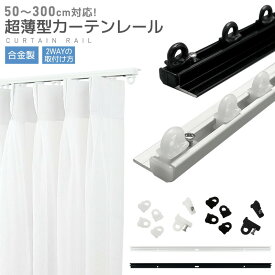 カーテンレール 両面テープ 粘着式 ネジで取り付ける 取付簡単 短い 正面付け 天井付け 正面 調節可能 1m 2m 3m 合金製 薄型設計 ランナー 二段ベッド用 頑丈 静音性 耐荷重10kg 貼り付け キャップ 間仕切り ネジ打ち不要 開閉簡単 ミニサイズ シンプル 北欧 賃貸