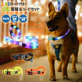 犬用首輪 首輪リードセット リード LEDライト付き首輪＆リードセット 光る 点灯モード切替 お散歩 充電式 テープライト カラフル 発光 夜間散歩 間接照明 明るい キラキラ 防水性 長さ調節 首回り調整 脱着簡単 超小型犬 小型犬 中型犬 20Kg ロック機能 バックル付