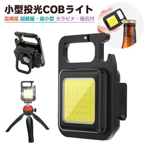 Type-c[d~jLEDCg ^ COBCg L[Cg ~j LED tbVCg nfBCg gуCg pCg |PbgCg d RpNg ^ y 500LM Jr
