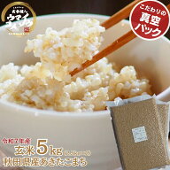令和7年産あきたこまち 玄米 5kg（2.5kg X 2袋）真空パック 玄米 あきたこまち