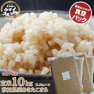 令和7年産あきたこまち 玄米 10kg（2.5kg X 4袋）真空パック 玄米 あきたこまち