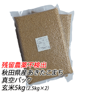 10̓Gg[Ń|Cg10{Iyc_sozߘa7NY܂@ā@5kgi2.5kg X 2܁j