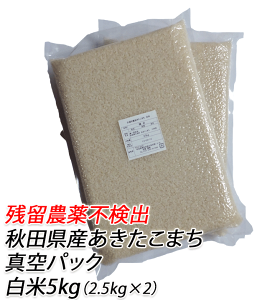 10̓Gg[Ń|Cg10{Iyc_sozߘa7NY܂@ā@5kgi2.5kg X 2܁j