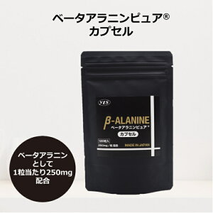 x[^AjsA JvZ 120荂i Y x[^Aj 250mg120 v[NAEg JmV JtFCY^тɕ֗ȃJvZ^Cv X|[cTvg 