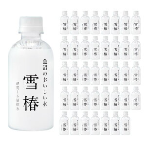 ̂֐ 290ml×40{ uցv V  z ^ ybg{g   dx16 ~lEH[^[ ybg{g 炩 water N e ŘbݓVR 