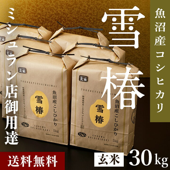 楽天市場】【4/30まで25%OFF】 令和7年産 魚沼産コシヒカリ「雪椿 