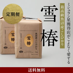 w ߘa7NY V YRVqJ 10kg ō ܎ uցv 10L  VYRVqJ Y RVqJ  Ђ   10L uh Mtg 