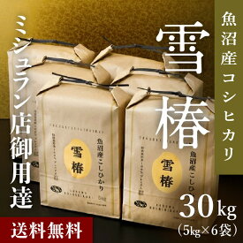 【ポイント10倍 9日20時〜16日01:59まで】 米 お米 5kg~ コシヒカリ こしひかり 魚沼産 新潟県産 令和7年産 おいしい 美味しい [魚沼産コシヒカリ 雪椿] 10kg 20kg 30kg 魚沼コシヒカリ 新潟 魚沼 魚沼産こしひかり 白米 ブランド米 特別栽培米 減農薬 ギフト のし 熨斗