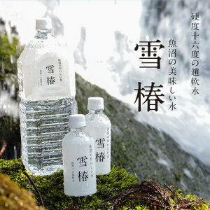 ̂֐ 290ml×40{ uցv V  z ^ ybg{g   dx16 ~lEH[^[ ybg{g 炩 water N e ŘbݓVR 
