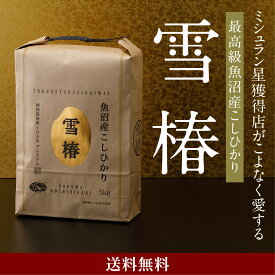 米 お米 コシヒカリ こしひかり 魚沼産 新潟県産 令和7年産 おいしい 美味しい [魚沼産コシヒカリ 雪椿] 1kg 2kg 5kg 10kg 20kg 30kg 魚沼コシヒカリ 新潟 魚沼 魚沼産こしひかり 白米 ブランド米 特別栽培米 減農薬 ギフト のし 熨斗