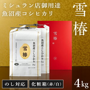 ߘa7NY V YRVqJ 1kg×3 2kg×2 5kg×1 yϔzuցv p ϔ VY Y RVqJ  j  Mtg  V Y RVqJ 