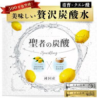 聖者の炭酸【純国産】重曹クエン酸水　食用重曹×食用クエン酸　持ち運びしやすい個包装　各30包 計60包…