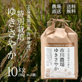 楽天市場】【農家直送】市川農場が世に出した新しい北海道米「ゆき 