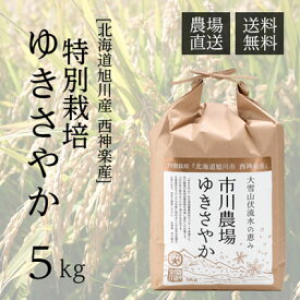 【農家直送】市川農場が世に出した新しい北海道米「ゆきさやか」5kg【送料無料】/米/お米/北海道米/送料込み
