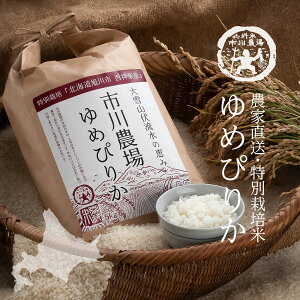yVāzʍ͔| ߂҂肩 10kg  kC _꒼ ߘa7NY kCY   O Mtg