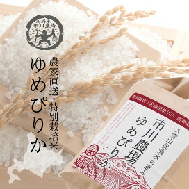 楽天市場】【農家直送】市川農場が世に出した新しい北海道米「ゆき 