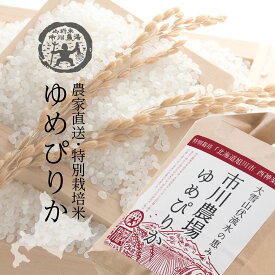 特別栽培米 ゆめぴりか 5kg 送料無料 北海道米 農場直送 令和5年産 北海道旭川産 お米 米 直前精米 ギフト