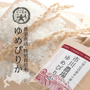 yVāzʍ͔| ߂҂肩 5kg  kC _꒼ ߘa7NY kCY   O Mtg