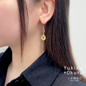 Vg sNTt@CA sAX SV925 Vo[ S[hJ[ CG[ sN Ch Ԃ VR LR IIN uh fB[X WG[  9 11 a