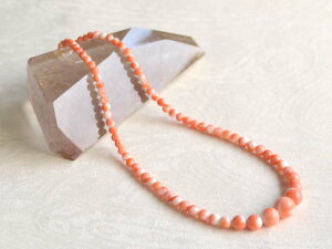 CX lbNX TS  ێ VR LR IIN uh fB[X WG[  3a {X