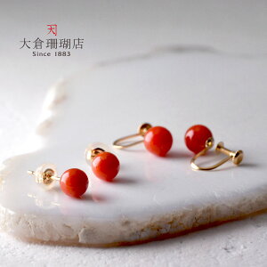 yXtFA25%OFFN[|p45825~zԎX CO sAX TS  K18 18 ꗱ  6mm ێ Vv VR LR IIN fB[X ANZT[ WG[ 