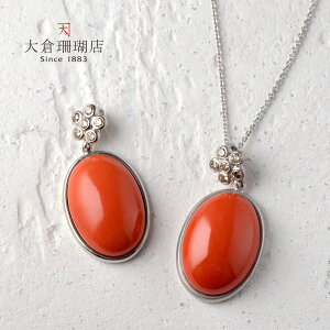 CX y_g gbv wbh TS  uE_C v`i PT 900 I[o t[ VR LR IIN uh fB[X WG[ 3a  {X