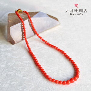 ԎX lbNX TS  14 K14 Of[V VR LR IIN uh fB[X WG[  {X 3 a