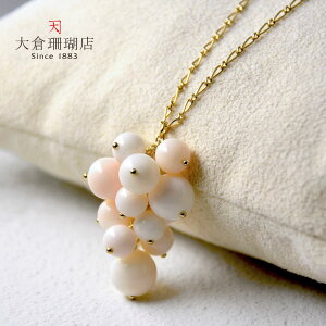 ~bhX lbNX y_g  TS R[ sN zCg SV925 Vo[  ʕ `[t LR IIN fB[X ANZT[ WG[  3a {