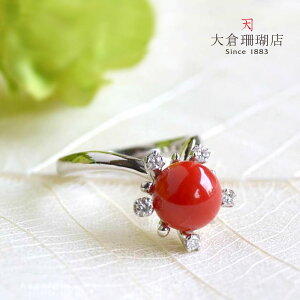  X TS  _C Pt900 v`i O w LR IIN 3a VR fB[X ANZT[ WG[  {X