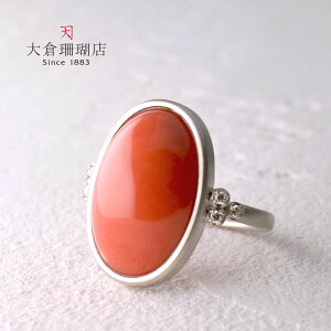 ySi|Cg10{z30%OFF!yVX[p[Z[A^CZ[ΏۏiCX O TS  _C PT v`i 900 I[o {[ Ԃ w VR LR IIN