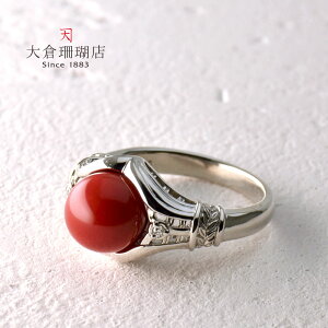 y|Cgő34{zԎX O TS  _C PT v`i 900 8.7mm ێ w VR LR IIN fB[X ANZT[ WG[  3a {X