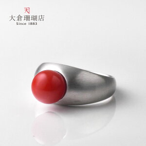 ԎX O w TS  v`i PT900  8mm ێ VR LR IIN fB[X ANZT[ WG[  3a {X