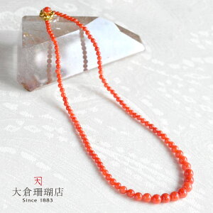 ԎX lbNX TS  Of[V v[ {Y VR LR IIN uh fB[X WG[  3a {X