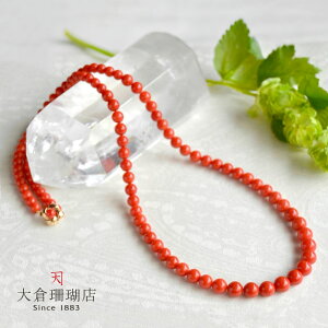 ӓnX lbNX nC TS  K14 14 Of[V LR IIN 3a fB[X ANZT[ WG[  {X