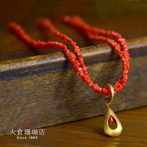 ӓnX lbNX nC TS   2A y_ggbvt VR LR IIN uh fB[X WG[  3a {X