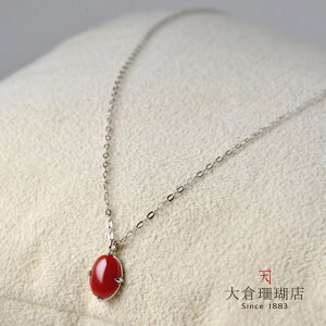 ԎX y_g lbNX TS  PT900 v`i `F[ I[o ꗱ  VR LR IIN uh fB[X WG[  3a {X
