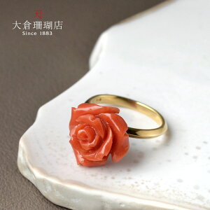 ySi|Cg10{zӓnX O w nC TS  K18 18 S[h o 蒤 VR LR IIN uh fB[X WG[  3a {X