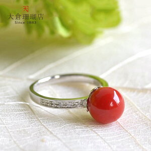  X TS  18 K18 WG O w LR IIN 3a VR fB[X ANZT[ WG[  {X