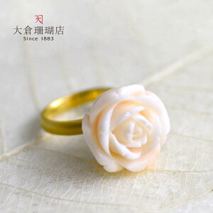 zCgsNX O w ~X TS  18 K18 KN o   VR LR IIN uh fB[X WG[  {X 3a