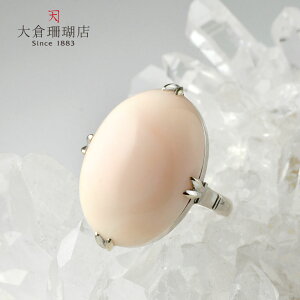 ~bhX O w sN TS  K14 14 WG zCgS[h I[o Be[W rbOTCY VR LR IIN uh fB[X WG[  3a