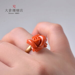 ySi|Cg10{zCX O w TS  K18 18 S[h dグ KN [Y  IW VR LR IIN uh fB[X WG[ 