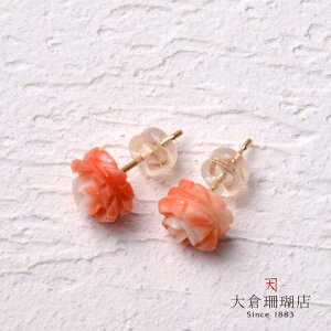 CX CO sAX TS  [Y KN  J[rO VR LR IIN uh WG[ ANZT[  3a {X